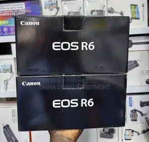 Canon EOS R6 Full-Frame Mirrorless Camera