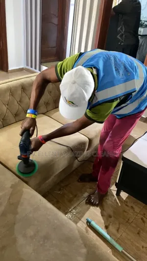 Excellent Sofa Cleaning Service