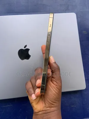 Apple iPhone 12 Pro Max 256GB Bronze