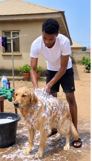 Dog Bathing & Grooming Services