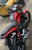 New Victory Hammer 2025 Red - 3