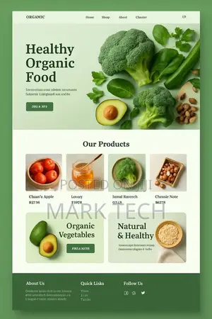 Professional Website Design & Development Services in Nigeria