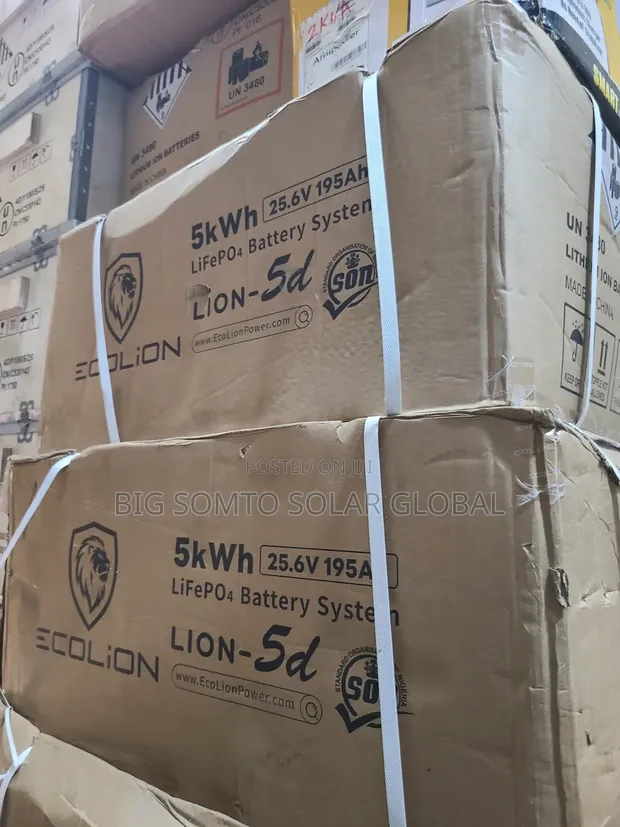 5kWh/24V Ecolion Lithium Battery - 1