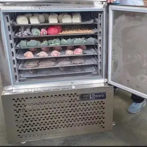 Stanis Kitchen Equipment Blast Freezer