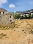 Filin Zama na Sayarwa, Kubwa F01 - 1
