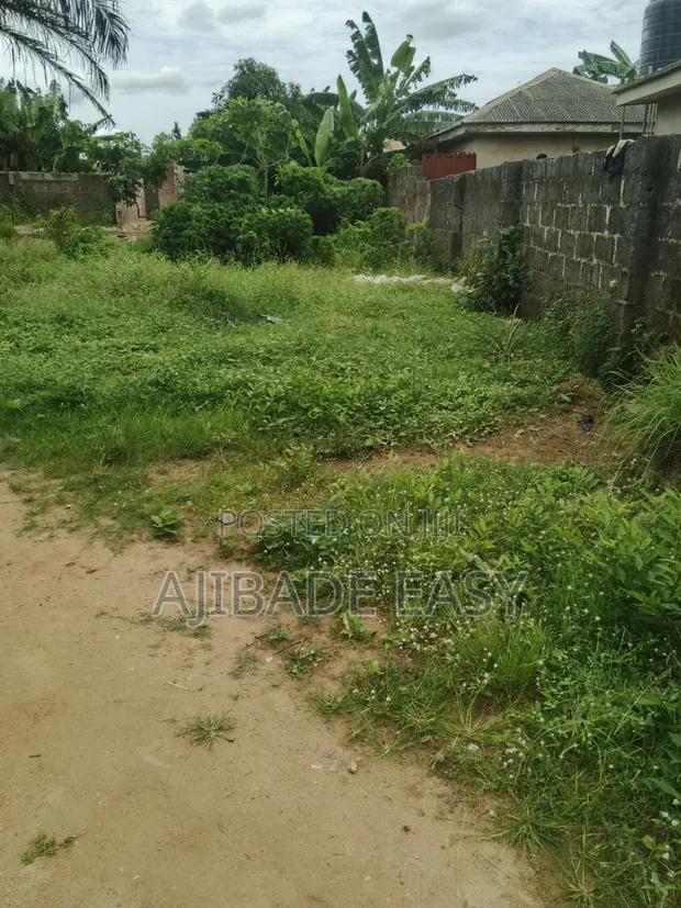 Half Plot of Land for Sale in Oshin, Ayobo - 1