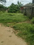 Half Plot of Land for Sale in Oshin, Ayobo - 1