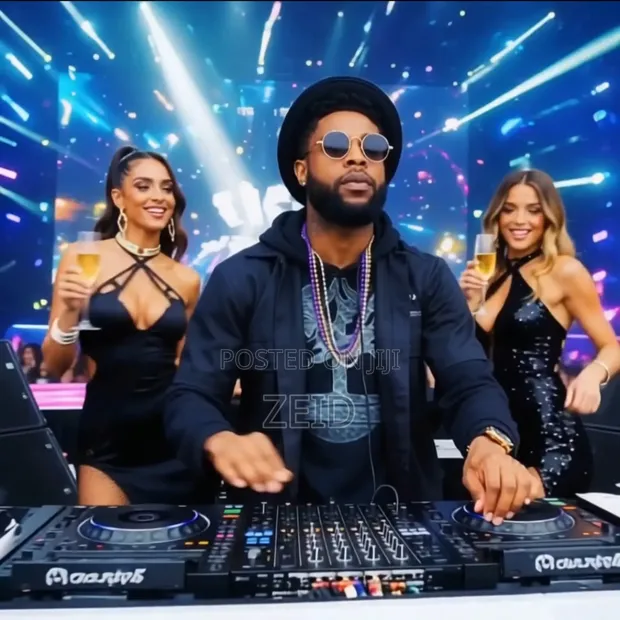 DJ Sky: Professional Event DJ Services - 1