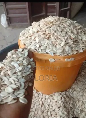 Fresh Egusi Melon