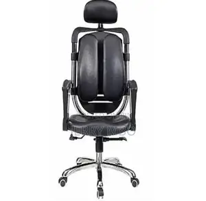 Ergonomic Kidney Shaped Office Chair