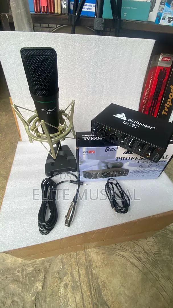 Birdsinger 2i2 Sound Card da U-87 Condenser Mic - 1
