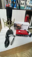 Birdsinger 2i2 Sound Card da U-87 Condenser Mic - 2