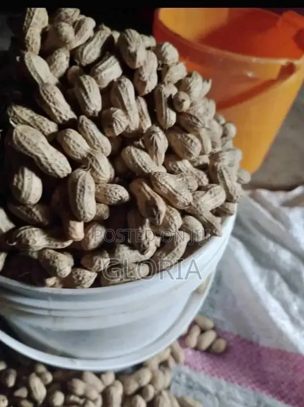 Fresh Groundnuts - 1