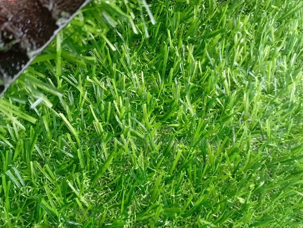 High Quality Super Grass 25mm Artificial Grass Carpet - 1