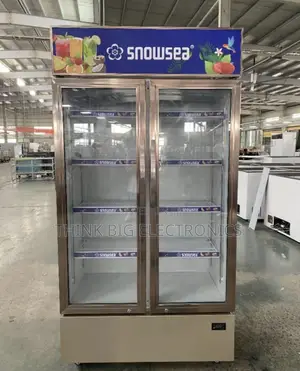 Brand New Snowsea Double Glass Door Display Freezer/Cooler