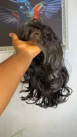Sana'ar Gyaran Gashi, Salo da Launi na Wig a Ikeja, Legas - 2