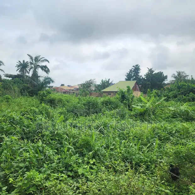 930sqm Filaye a Sayarwa, Akingbile, Ojoo/IITA Axis, Ibadan - 1