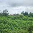 930sqm Filaye a Sayarwa, Akingbile, Ojoo/IITA Axis, Ibadan - 1