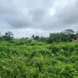930sqm Filaye a Sayarwa, Akingbile, Ojoo/IITA Axis, Ibadan - 3