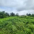 930sqm Filaye a Sayarwa, Akingbile, Ojoo/IITA Axis, Ibadan - 4