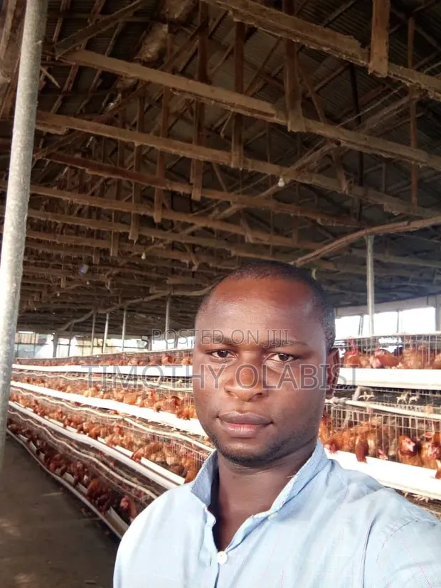 Experienced Poultry and Feed Mill Manager - 1