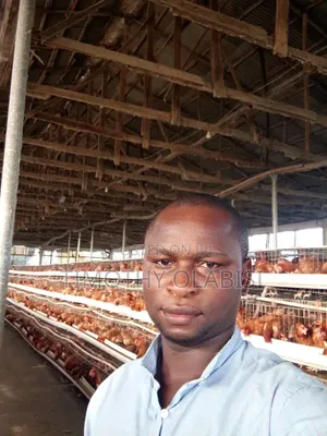 Experienced Poultry and Feed Mill Manager