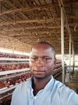 Experienced Poultry and Feed Mill Manager - 2