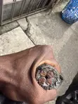 25mm 4-Core Copper Electrical Cable - 1