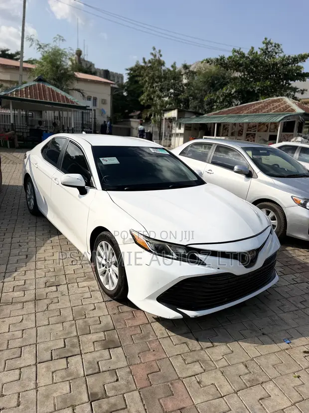 2019 Toyota Camry LE - 1