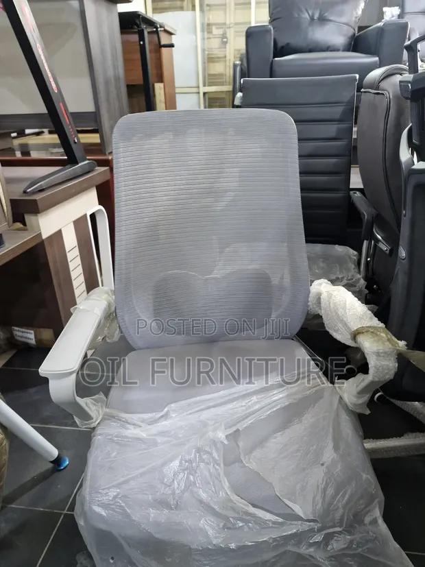 Executive Ergonomic Grey Mesh Office Chair with Lumbar Support - 1