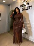 Zara Wears Leopard Mesh Maxi Dress - 2
