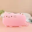 Cat Plushie Pillow - 2