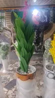 Princess Flowers Kayayyakin Kwalliya - 3