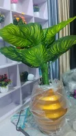 Princess Flowers Kayayyakin Kwalliya - 4