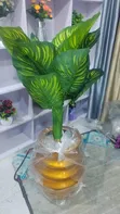 Princess Flowers Kayayyakin Kwalliya - 5