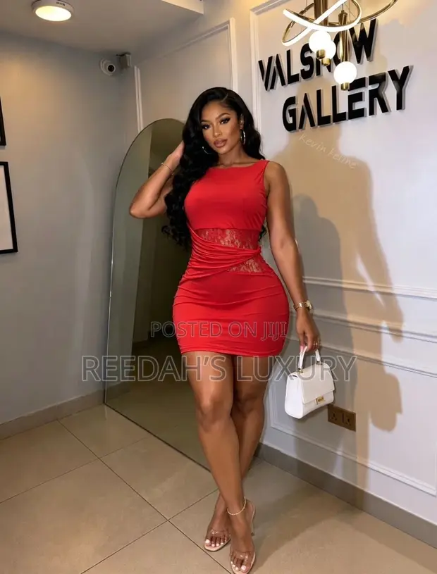 Scarlet Lace Contour Mini Dress - 1