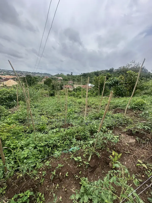 Residential Land for Sale in Ondo - 1