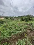 Residential Land for Sale in Ondo - 1