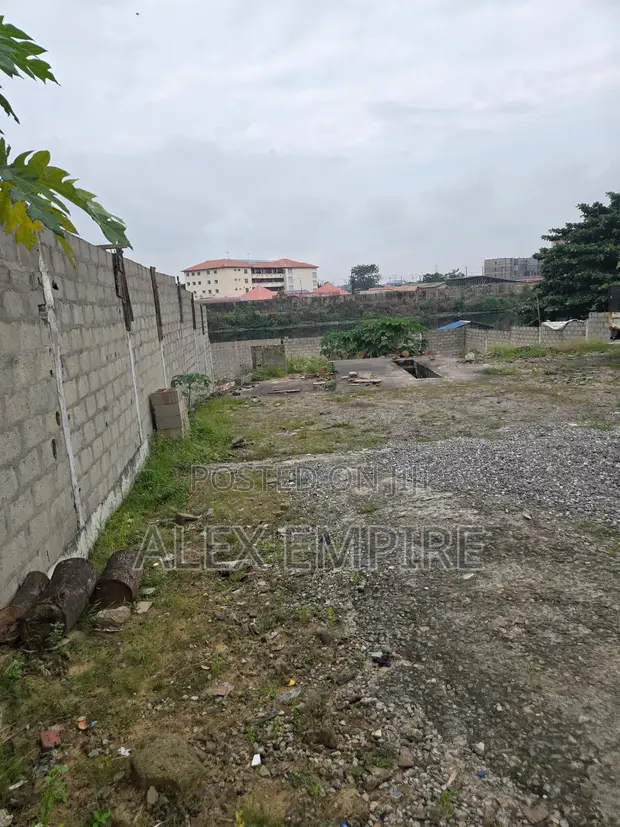 2000sqm Ruwan Ruwa Busasshi Ƙasa don Hayar a Amuwo - 1