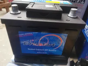 EverStart 12V 50Ah Batirin Mota (Corolla 2022)