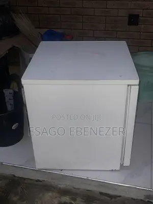 GE Freezer - Freezes Fast