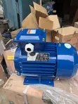 Asalin Motar Lantarki 0.55KW 1390 RPM - 2