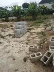 Commercial/Residential Land for Sale in Ishefun Ayobo, Lagos - 1