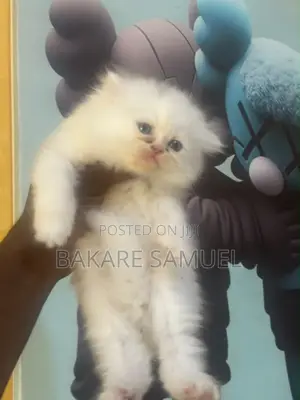 Kare-karen Persian Mai Tsarki - Watan 1-3
