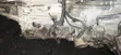 Toyota Automatic 2-Wheel Drive Gearbox (Tundra, Sequoia, Land Cruiser 2010) - 3
