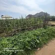 1000sqm FHA Residential Land for Sale, Lugbe - 1