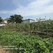 1000sqm FHA Residential Land for Sale, Lugbe - 2