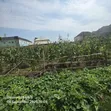1000sqm FHA Residential Land for Sale, Lugbe - 3