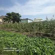 1000sqm FHA Residential Land for Sale, Lugbe - 4