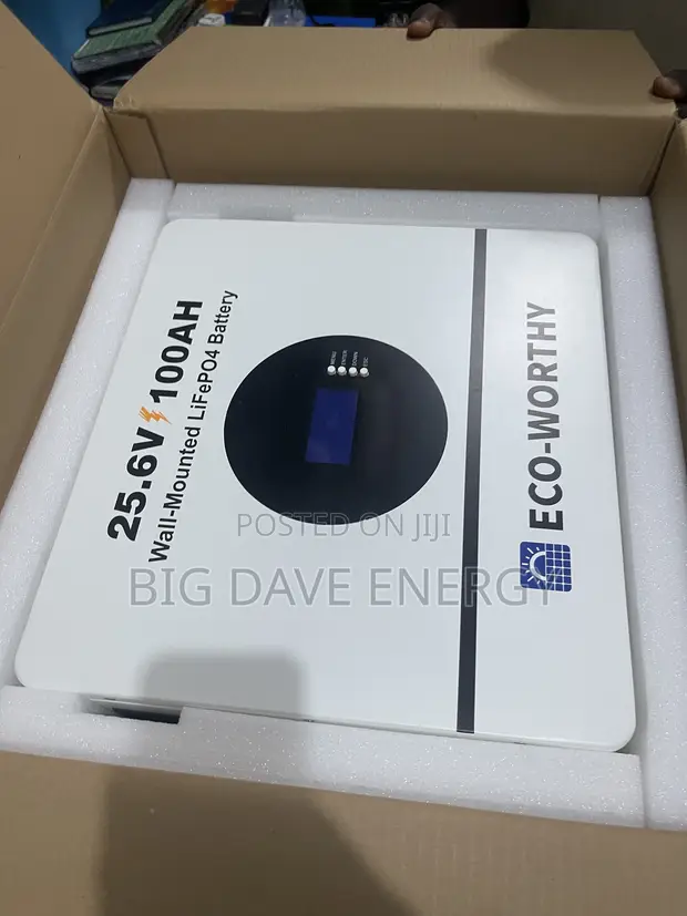 Eco Worthy 2.5kW 24V Lithium Battery - 1